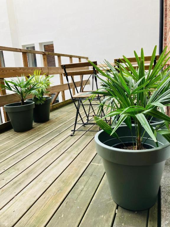 Bnb Suikernest Antuérpia Exterior foto