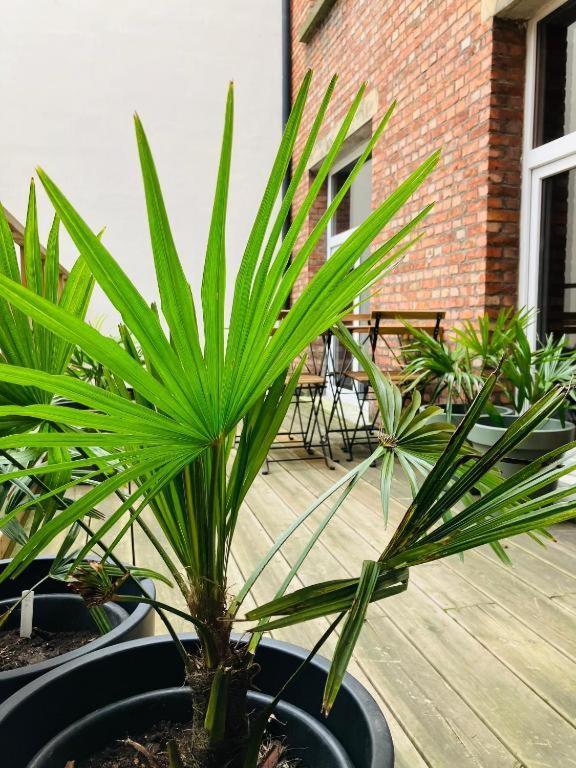 Bnb Suikernest Antuérpia Exterior foto